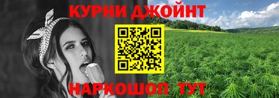 шишки Кинель