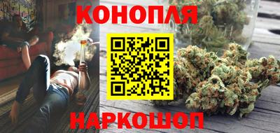 шишки Кинель