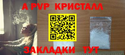 шишки Кинель