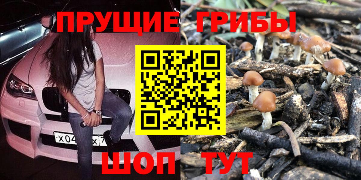 Псилоцибиновые грибы MAGIC MUSHROOMS Новоуральск