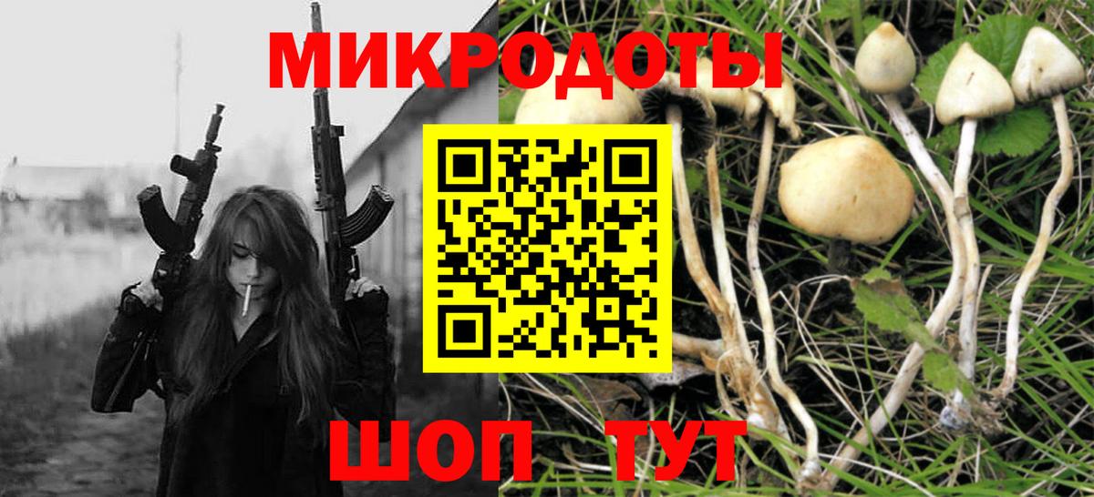 Псилоцибиновые грибы Psilocybe  Вход с VPN  Новоуральск 